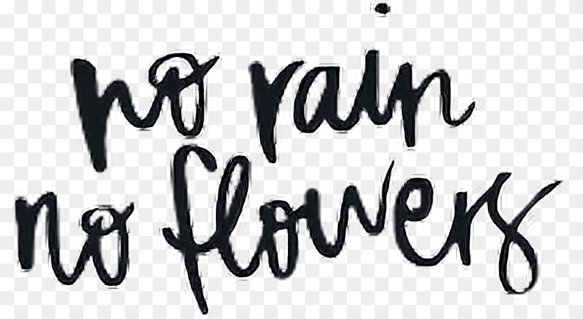804x460 Norain Rain Flowers Quotes Quote Cursive Norainnoflowers Calligraphy, Text, Handwriting, Person Sticker PNG