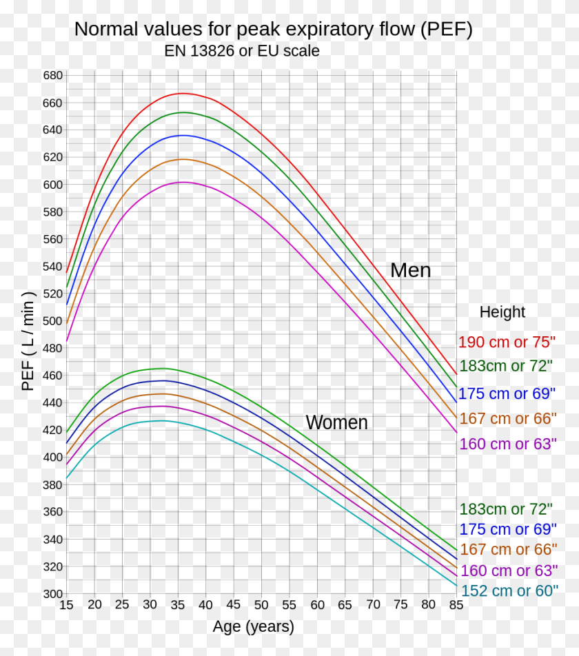 907x1038 Normal Values For Peak Expiratory Flow Peak Flow Normative Data, Light, Graphics HD PNG Download