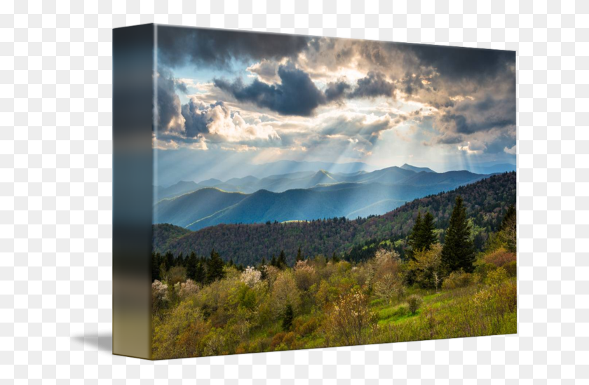 650x489 North Carolina God39s Country, Nature, Outdoors, Tree HD PNG Download