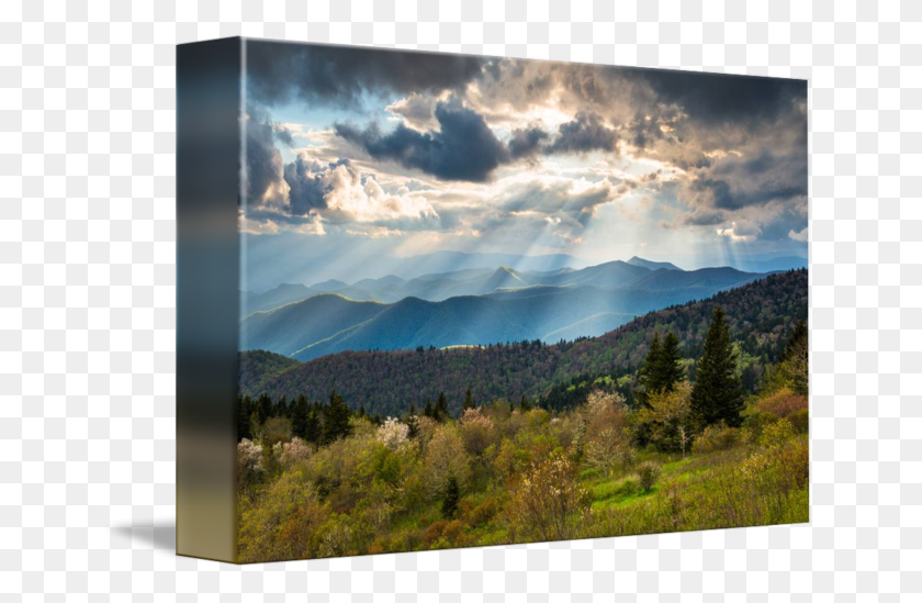 650x489 North Carolina God39S Country, Nature, Outdoors, Tree Descargar Hd Png