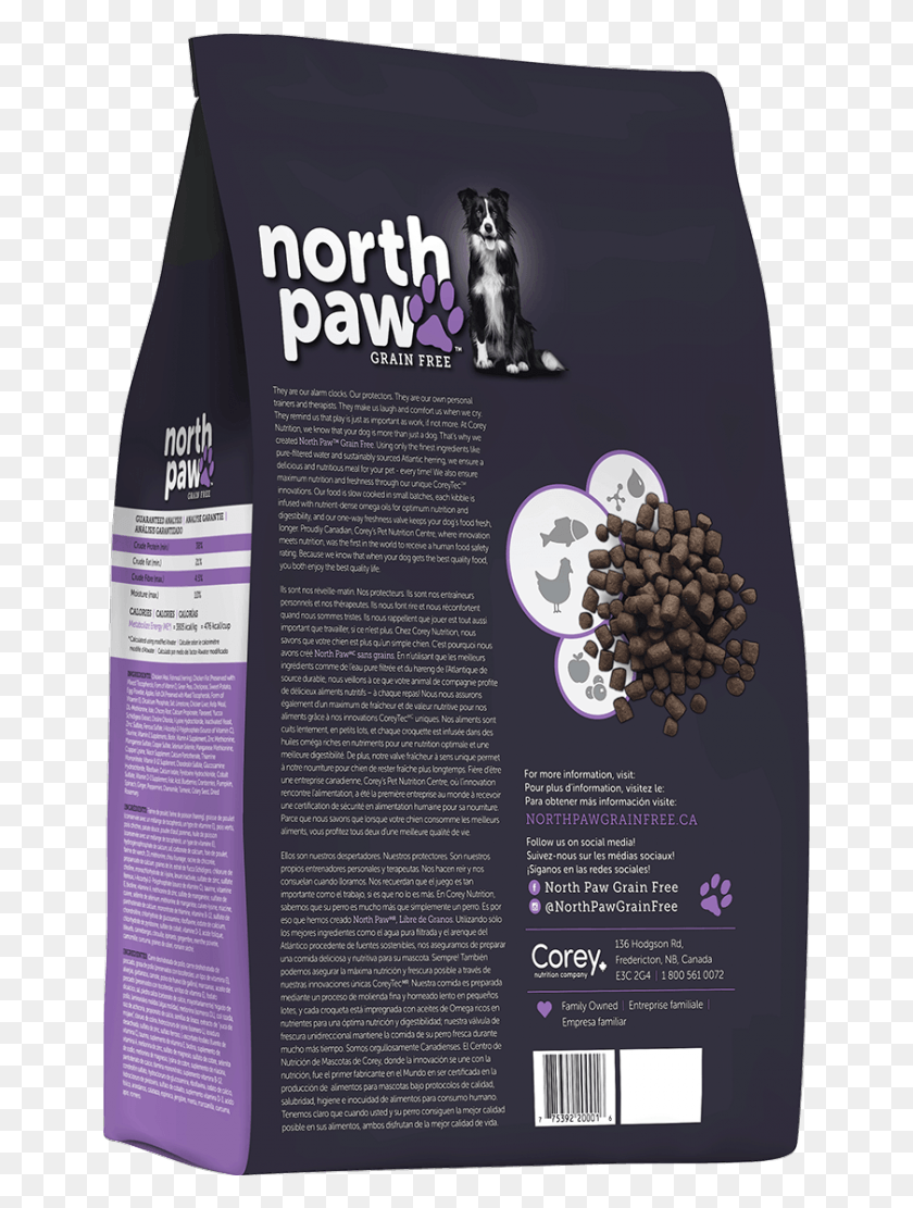 651x1051 North Paw Adult Ferret, Advertisement, Poster, Flyer HD PNG Download
