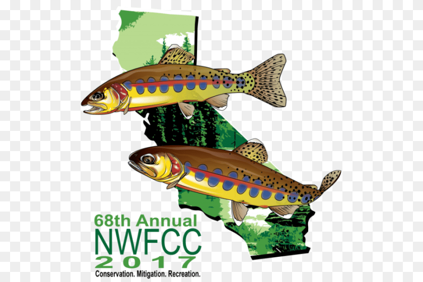 North West Fish Clipart Clip Art, Animal, Sea Life, Trout PNG