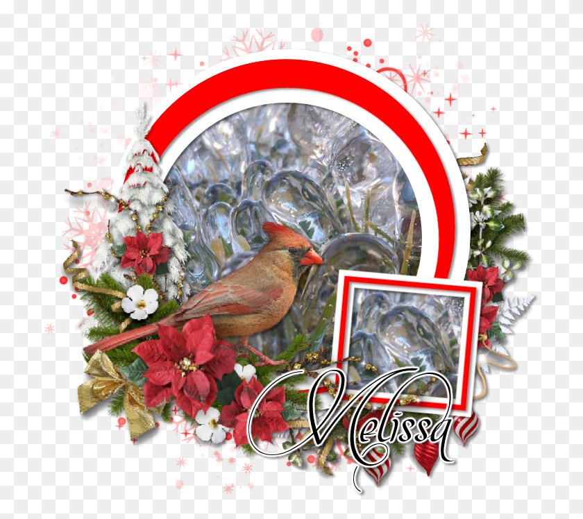 714x688 Northern Cardinal Cardinal, Bird, Animal, Graphics HD PNG Download