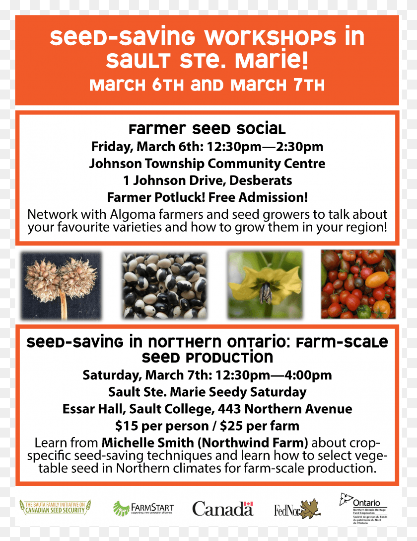 2290x3021 Northern Ontario Seedy Poster 1 2015seedysatposter Natural Foods, Advertisement, Flyer, Paper HD PNG Download