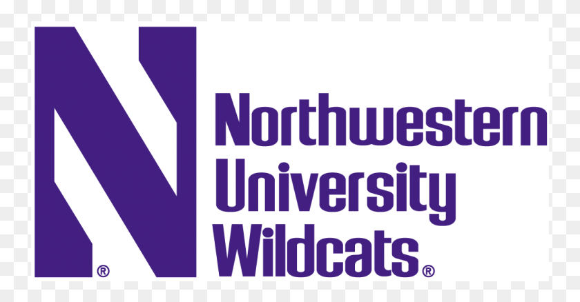 751x378 Northwestern Wildcats Iron On Stickers And Peel Off Colorfulness, Text, Clothing, Apparel HD PNG Download