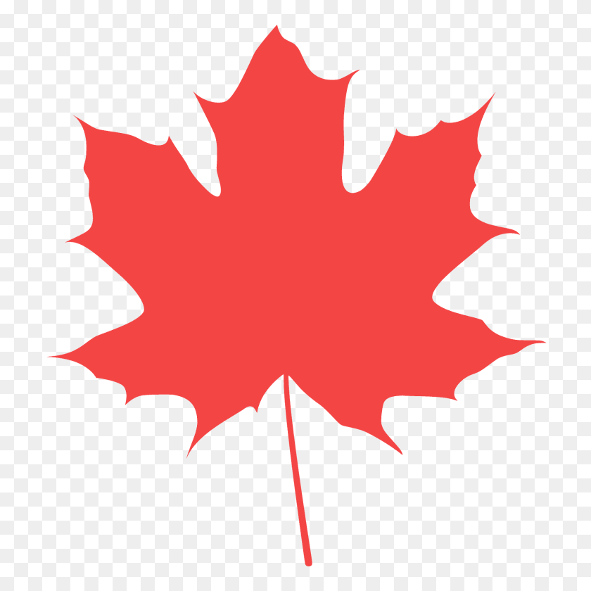 1920x1920 Norway Maple Leaf Silhouette, Maple Leaf, Plant, Tree, Animal Transparent PNG