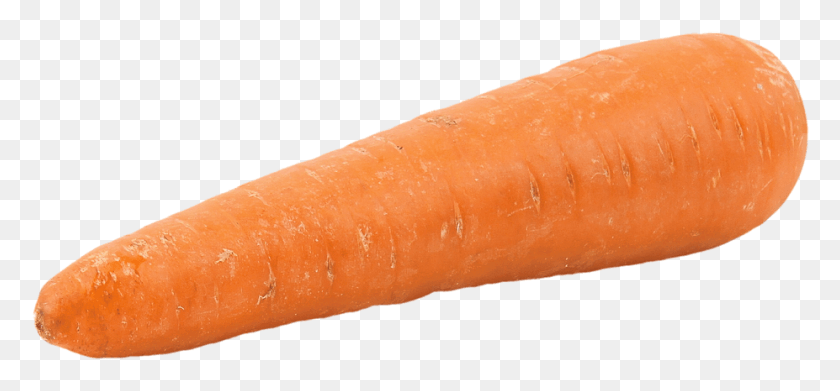 927x394 Nose Clipart Carrot One Carrot, Plant, Vegetable, Food HD PNG Download