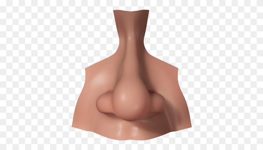 386x419 Nose Picture Nose, Person, Human, Back HD PNG Download