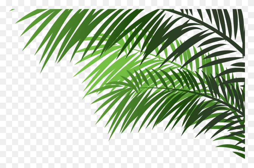 1432x912 Not Easy To Be A Hero But It39s Easy To Bring Palm Tree Branches On Transparent, Vegetation, Plant, Rainforest HD PNG Download