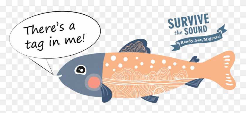 940x393 Not Every Class Can Have Access To Live Salmon In The Cartoon, Trout, Fish, Animal HD PNG Download
