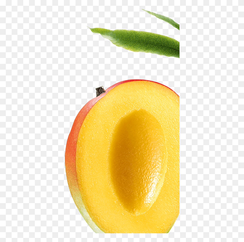 396x774 Nourishing Mango Klorane, Orange, Citrus Fruit, Fruit HD PNG Download