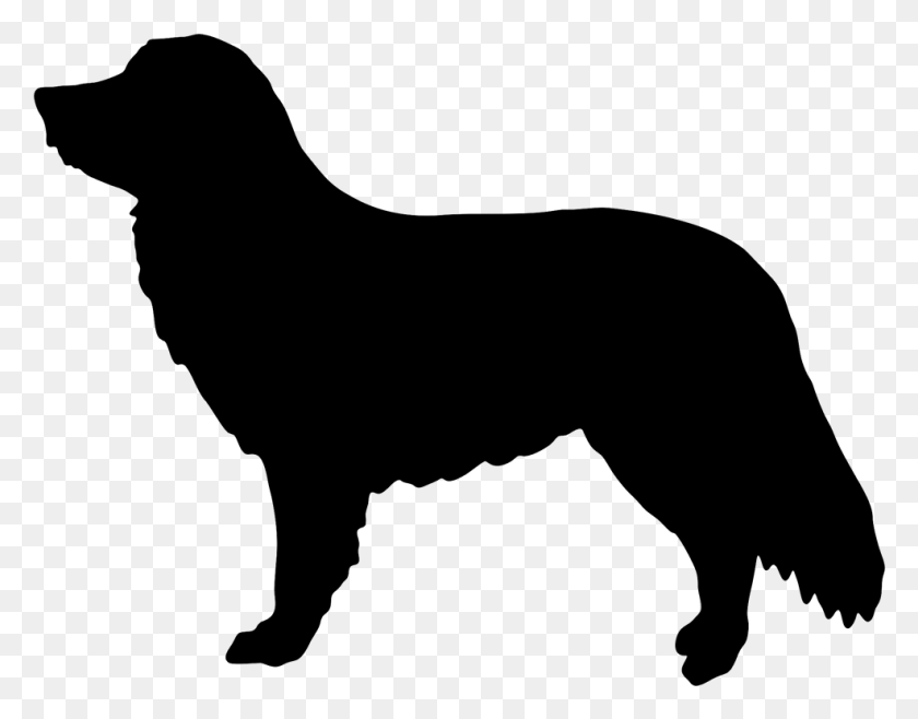 986x756 Nova Scotia Duck Tolling Retriever Silhouette, Gray, World Of Warcraft HD PNG Download