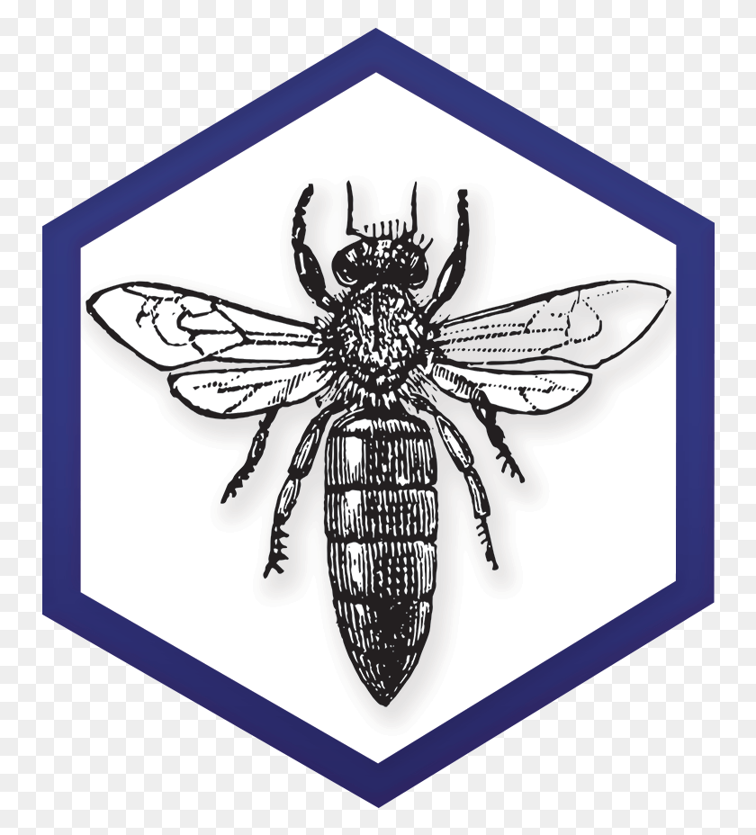 748x868 Boletín De Noticias De Noviembre De 2018 Ny Bee Wellness Logotipo De Club De Autos De Lujo, Insecto, Invertebrado, Animal Hd Png