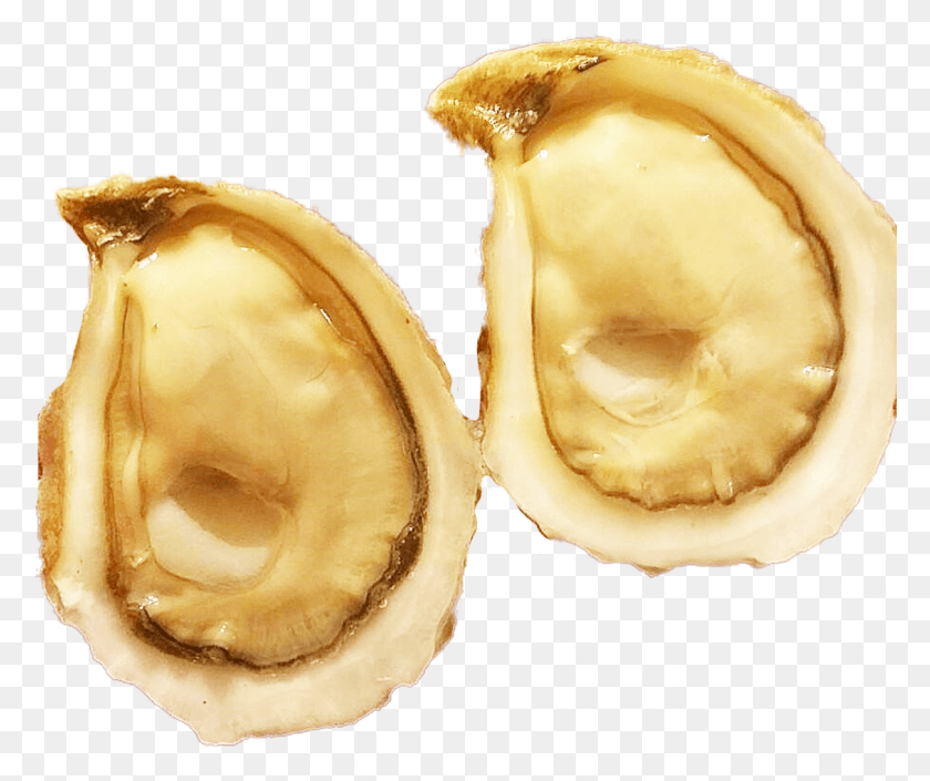 1130x935 Now Available Savage Blonde Oysters From Pei Premium, Plant, Nut, Vegetable HD PNG Download