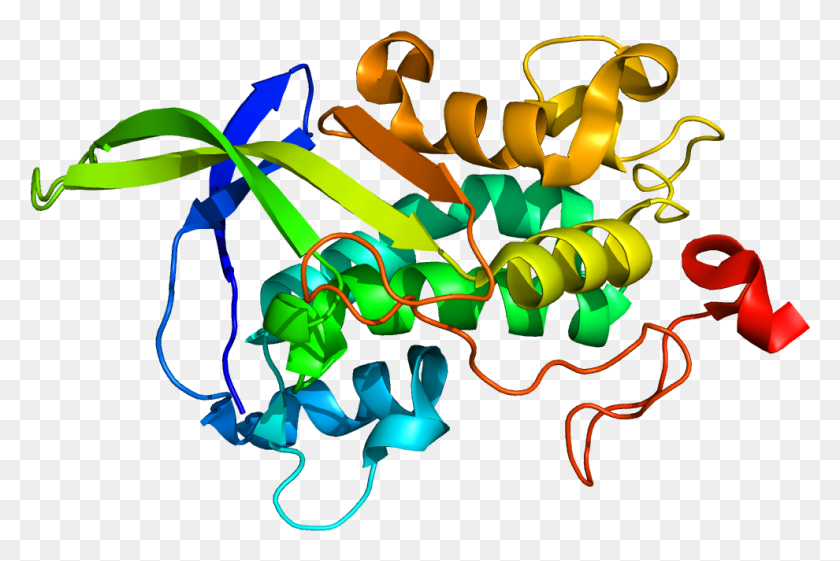 990x637 Npc1 Protein, Неон, Свет, Графика Hd Png Скачать