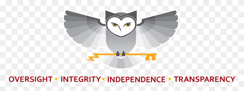 1323x433 Nsa Gov Accessibility Office Of Inspector General Diamond, Animal, Bird, Owl HD PNG Download