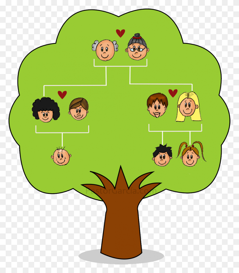 1069x1233 Nuclear Tree Genealogy Family Child Free Family Tree For Nuclear Family, Plant, Graphics HD PNG Download