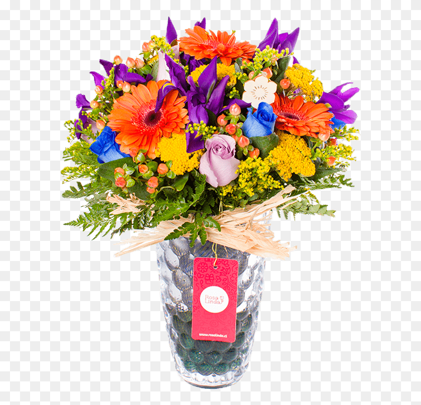 601x747 Nuestra Variedad De Productos Te Va A Encantar, Plant, Flower, Blossom HD PNG Download
