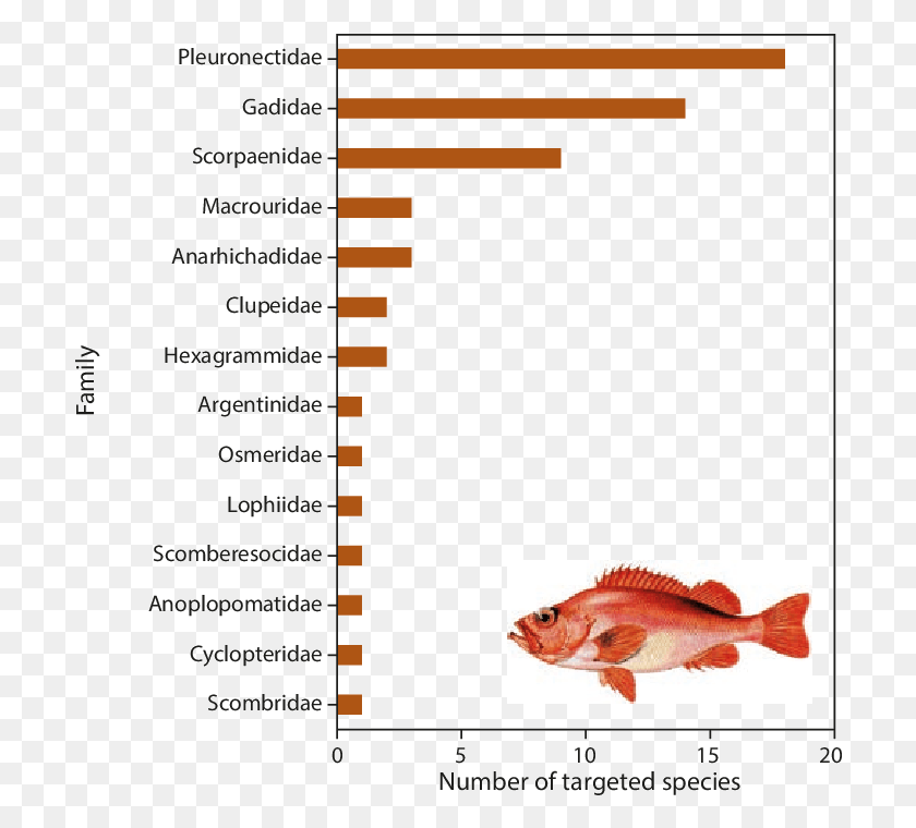 704x700 Number Of Commercially Targeted Fish Species By Family Red Snapper, Animal, Menu, Text HD PNG Download