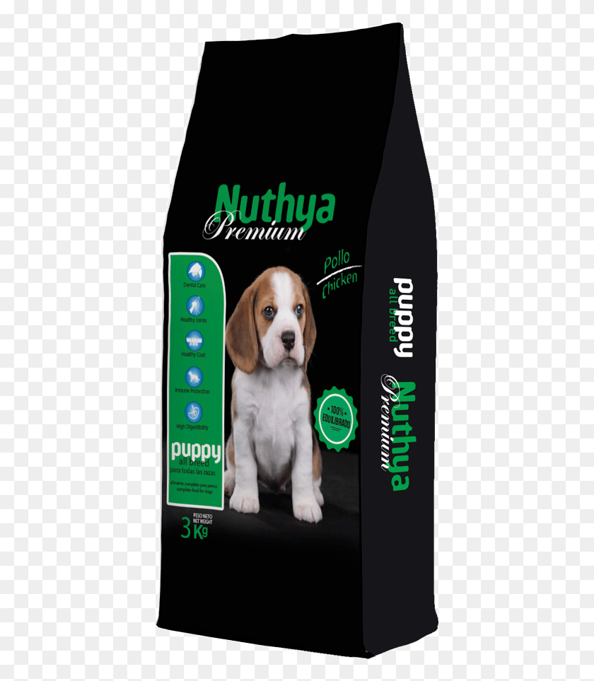 401x903 Nuthya Premium Puppy Nugape Beagle, Dog, Pet, Canine HD PNG Download
