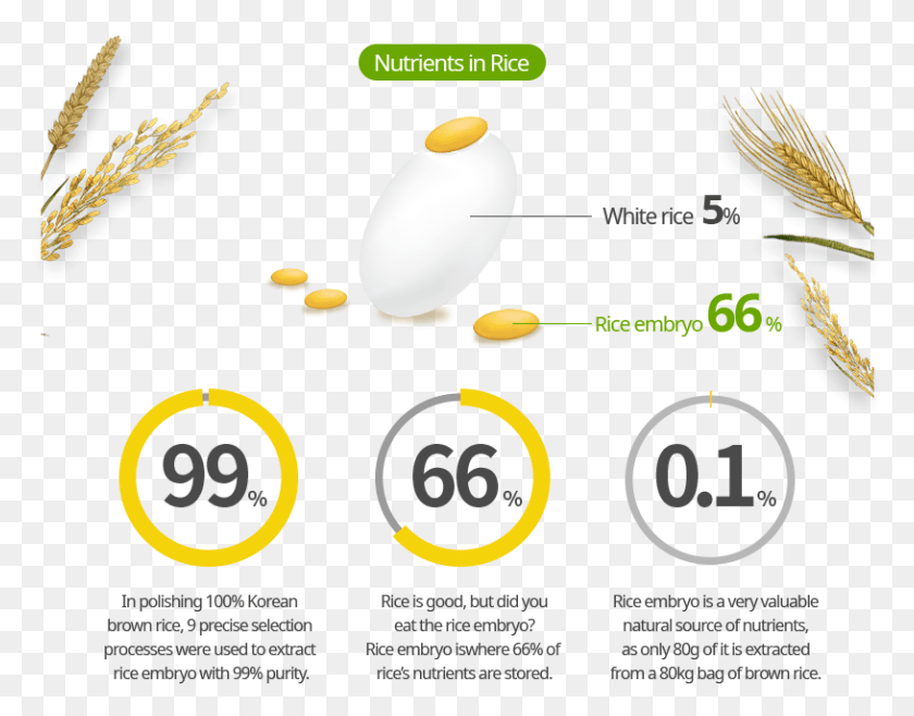 815x625 Nutrients In Rice 99 Designs, Text, Plant, Label HD PNG Download