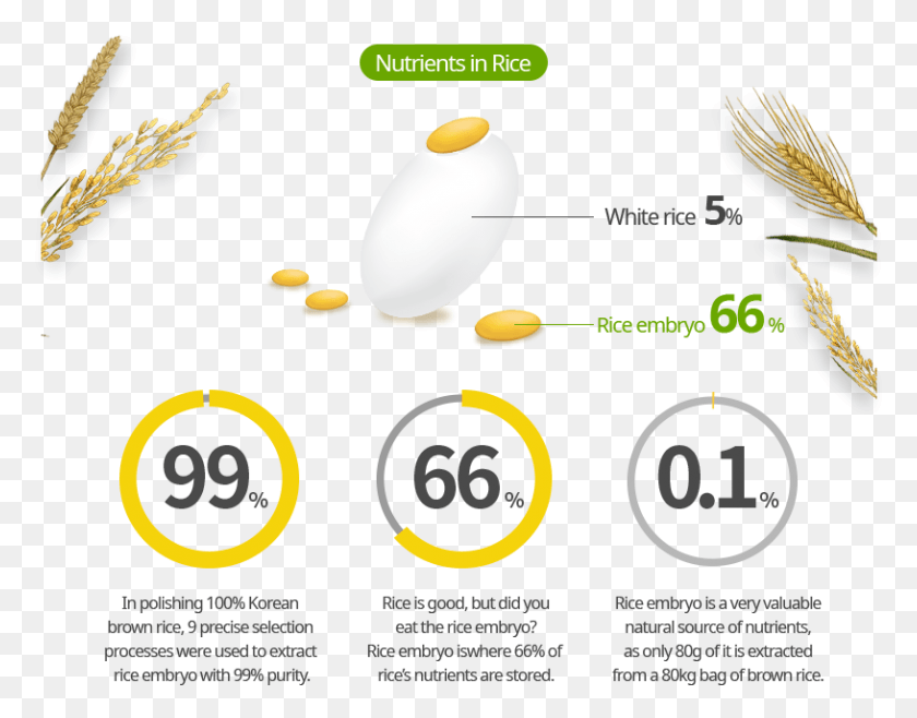 815x625 Los Nutrientes En El Arroz 99 Diseños, Texto, Planta, Etiqueta Hd Png