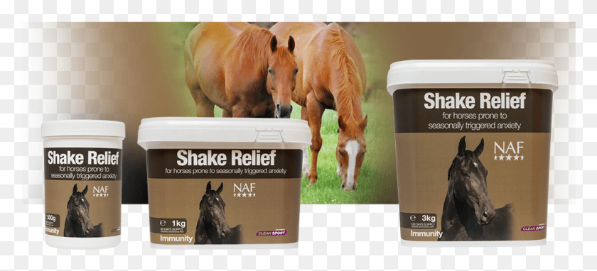 1001x414 Nutritional Support For Horses Showing Signs Of Seasonal Sorrel, Horse, Mammal, Animal HD PNG Download