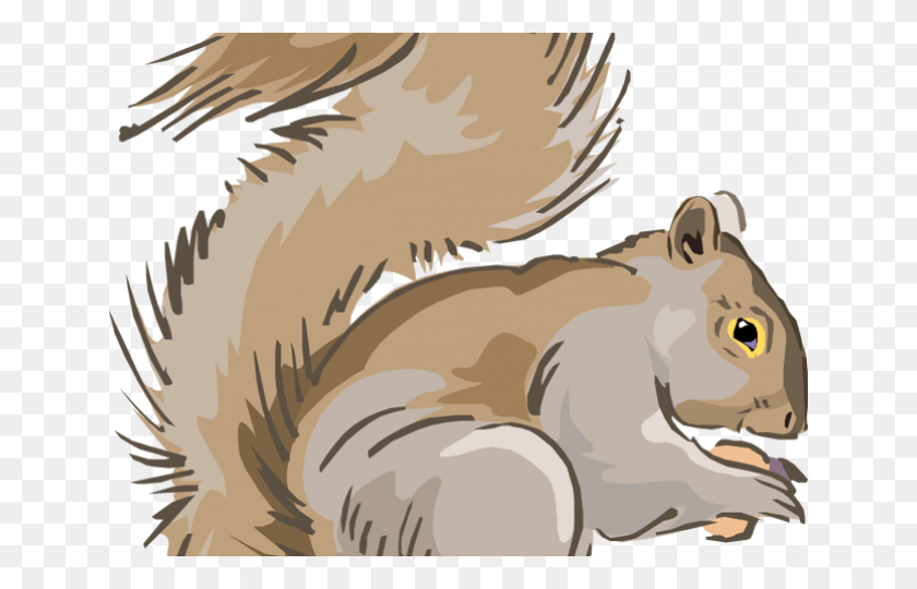 640x480 Nuts Clipart Squirrel Grey Squirrel Cartoon Clipart, Animal, Bird, Mammal HD PNG Download