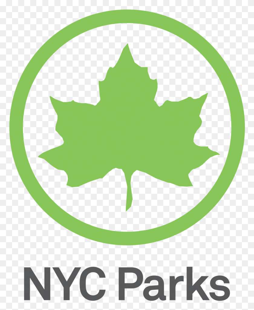 1033x1277 Департамент Парков Нью-Йорка, Лист, Растение, Плакат Hd Png Скачать