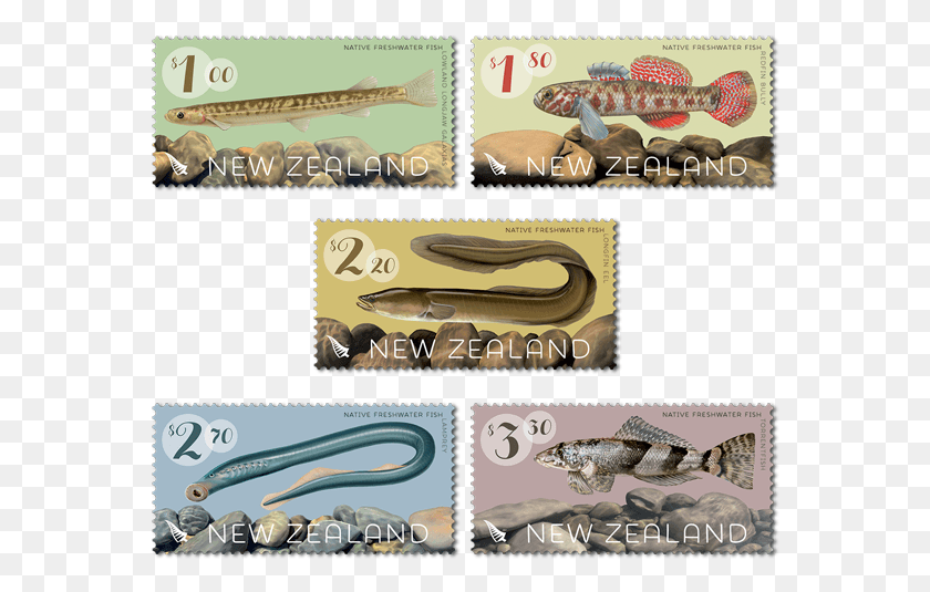 568x475 Nz Native Freshwater Fish Stamps Set 82424 Postage Stamp, Lizard, Reptile, Animal HD PNG Download
