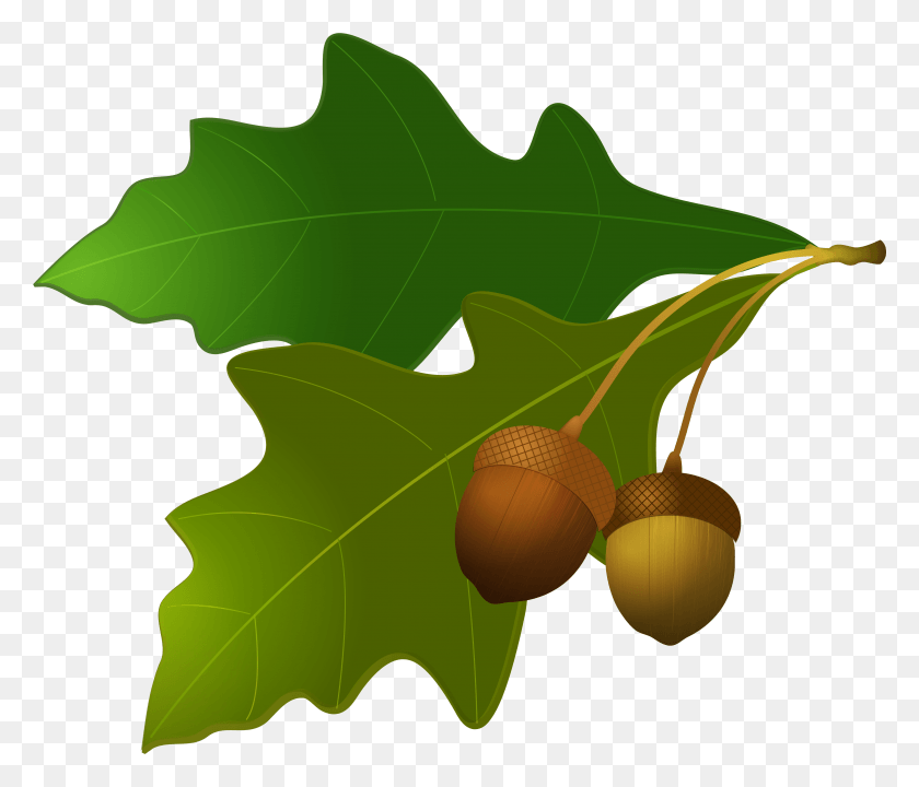 4001x3386 Oak Leaves Clip Art, Plant, Vegetable, Food HD PNG Download