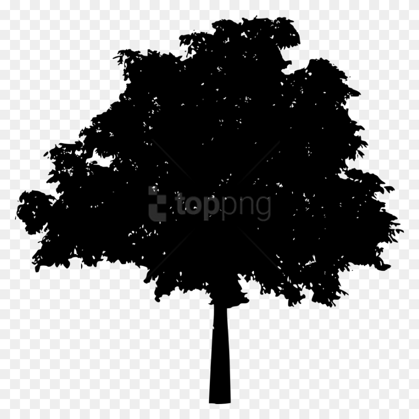 850x850 Oak Tree Silhouette Silhouette Black Tree Vector, Tree, Plant HD PNG Download