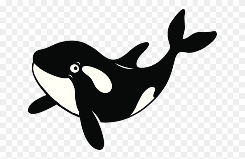 650x485 Oakland Elementary School Killer Whale, Animal, Mammal, Orca HD PNG Download