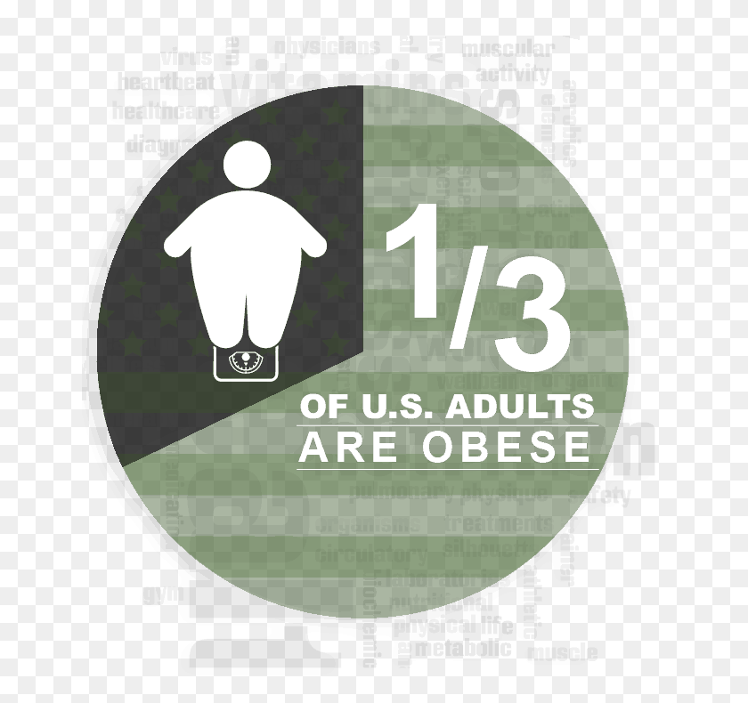 655x730 Obesity Infographic 33 Percent, Label, Text, Word HD PNG Download