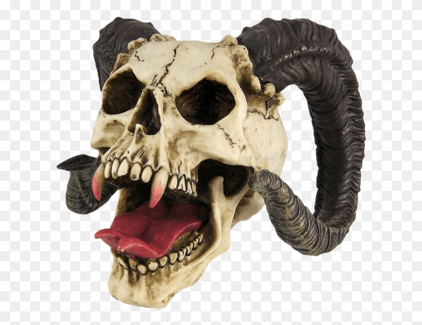 621x587 Objectdemon Skull Horned Skull, León, La Vida Silvestre, Mamífero Hd Png