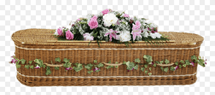 805x323 Objects Artificial Flower, Basket, Plant, Blossom HD PNG Download