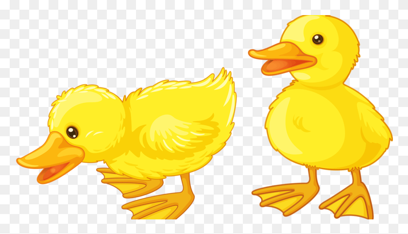 778x421 Objects In Five, Animal, Bird, Fowl HD PNG Download