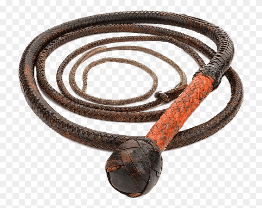 728x608 Objects Indiana Jones Whip, Snake, Reptile, Animal HD PNG Download