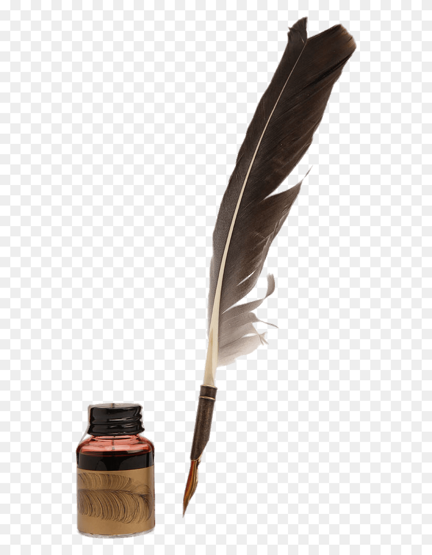 550x1020 Objects Old Feather Pens, Bottle, Ink Bottle, Bird HD PNG Download