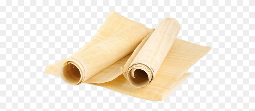 561x308 Objects Papyrus Paper, Plant, Bamboo Shoot, Vegetable HD PNG Download