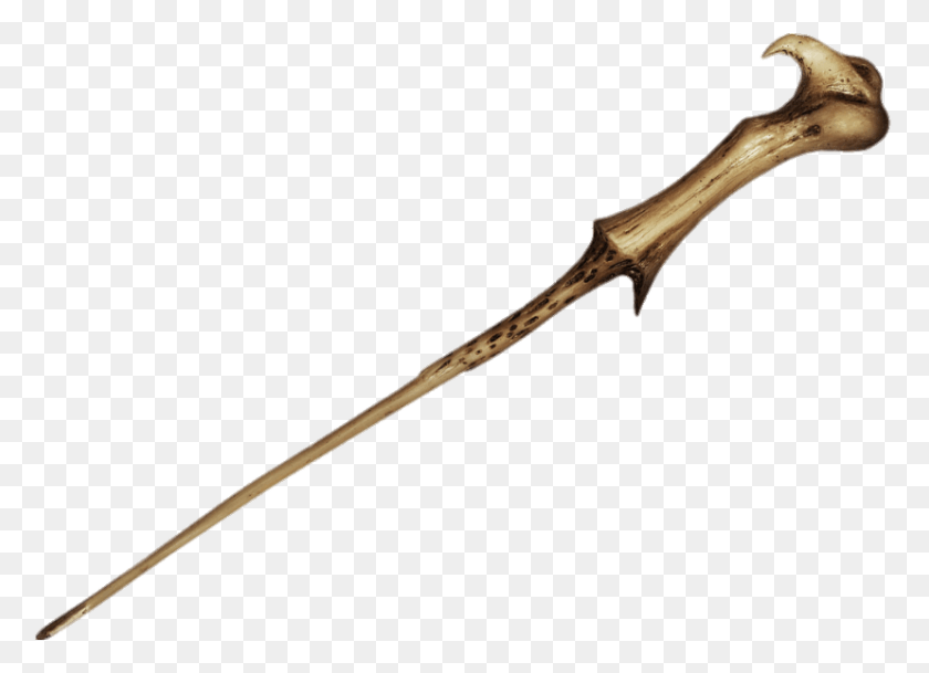 828x583 Objects Wands Harry Potter Tom Riddle39s Wand, Bird, Animal, Weapon HD PNG Download