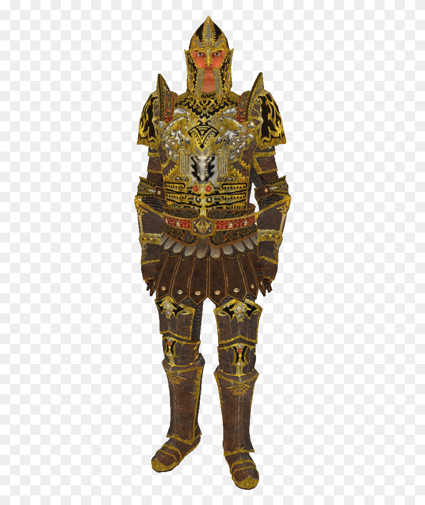 312x939 Descargar Pngolivion Armure Du Dragon, Armor, Persona, Humano Hd Png