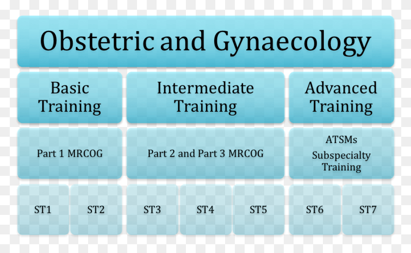 874x514 Obs And Gynae St1 Training Pathway Syndrome Technologies, Text, Computer Keyboard, Computer Hardware HD PNG Download