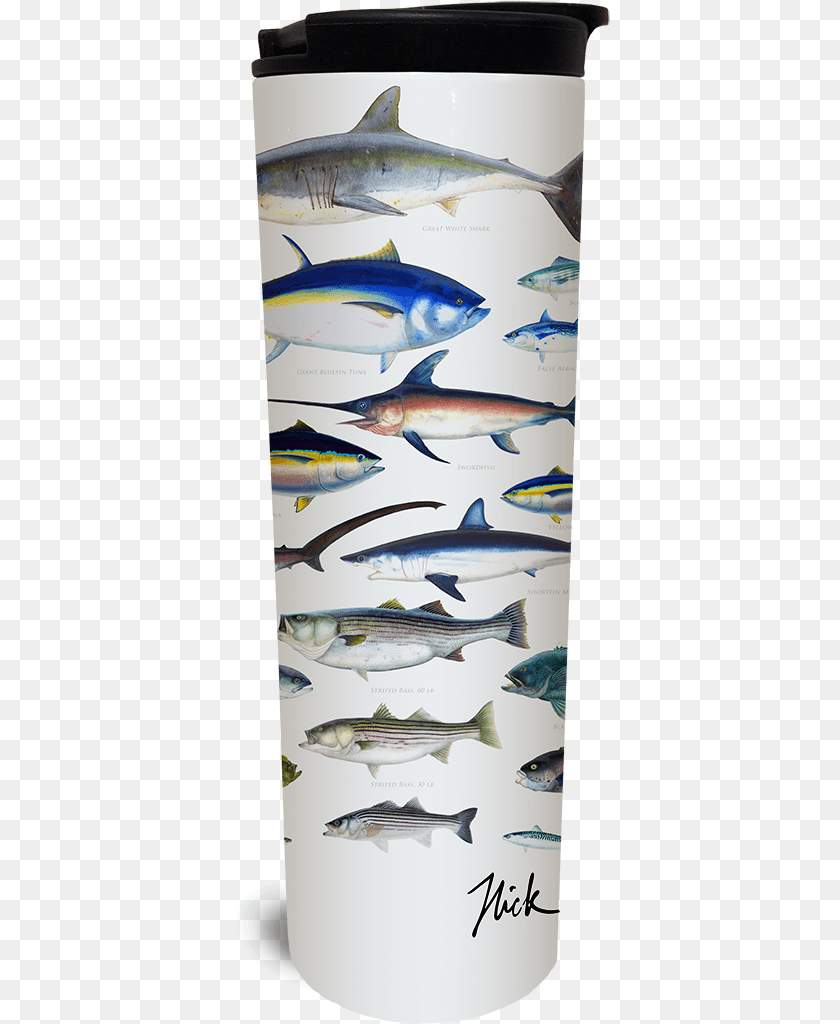 380x1024 Ocean Fish Tumbler Sardine, Animal, Sea Life, Shark Sticker PNG