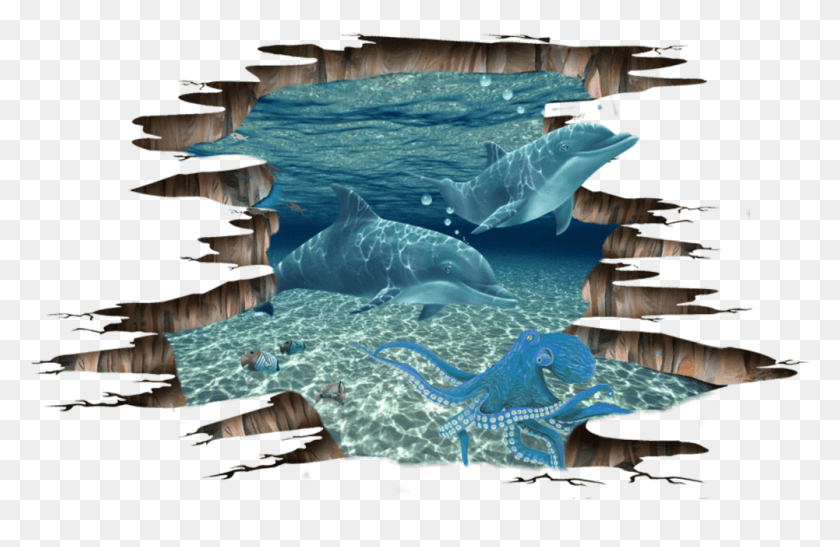 1001x626 Океан Морское Существо Дельфин Астетический 3D Мысленный Стикер, Рыба, Животное, Морская Жизнь Png Скачать