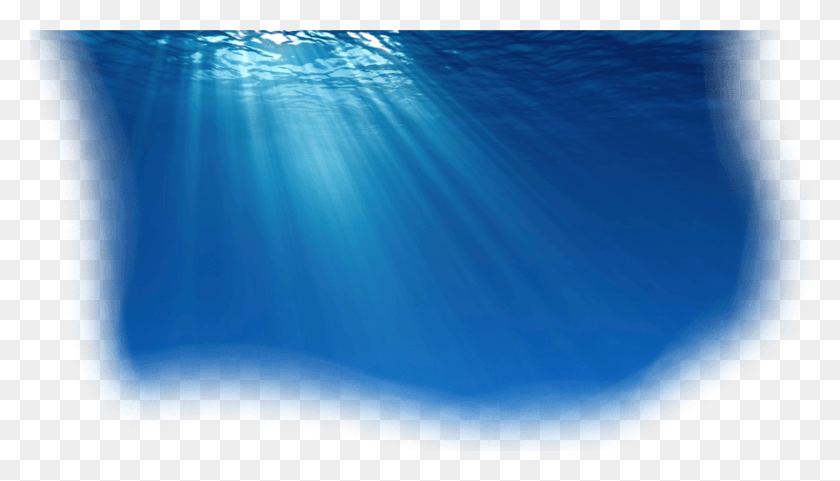 888x480 Océano Transparente, El Agua, Submarino, Al Aire Libre Hd Png
