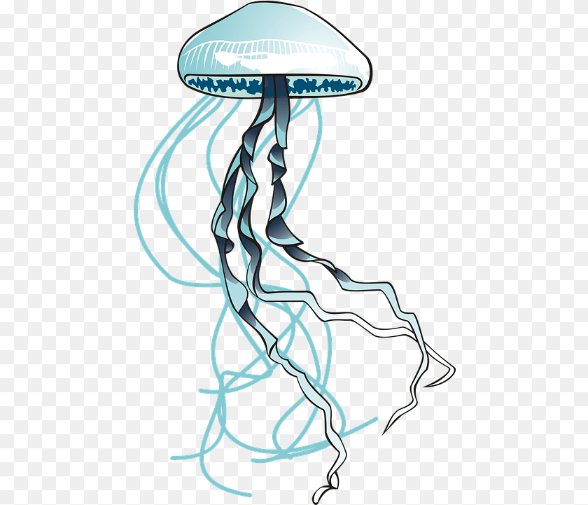 461x721 Ocean Water Splash Denizanas, Animal, Sea Life, Invertebrate, Jellyfish Sticker PNG