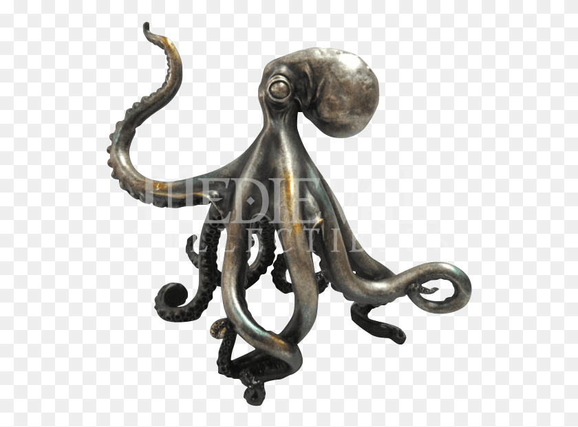 532x561 Octopus, Animal, Sea Life, Invertebrate HD PNG Download