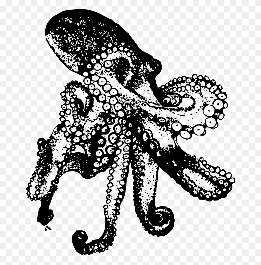 674x790 Octopus Baby One Piece Toddler T Shirt Transparent Octopus Drawing, Invertebrate, Animal, Sea Life HD PNG Download