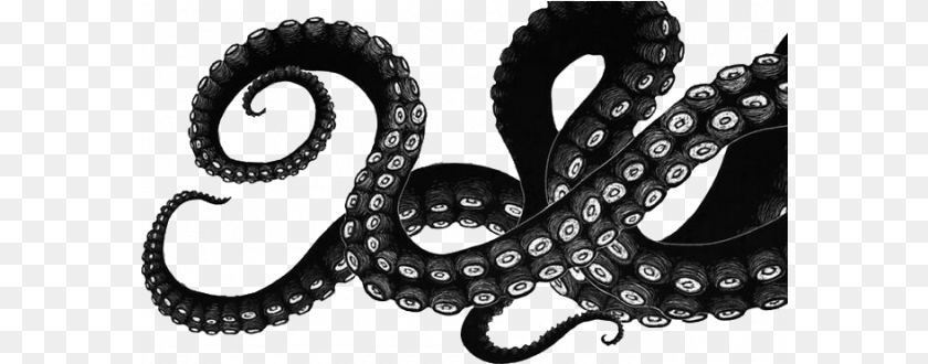 Octopus Cartoon Transparent Octopus Tentacles Drawing, Animal, Sea Life, Smoke Pipe, Invertebrate PNG